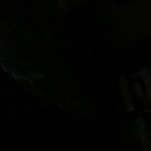 Meet your Posher, Lula